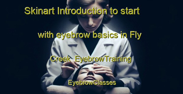 Skinart Introduction to start with eyebrow basics in Fly Creek | EyebrowTraining | EyebrowClasses | SkinartTraining-Australia