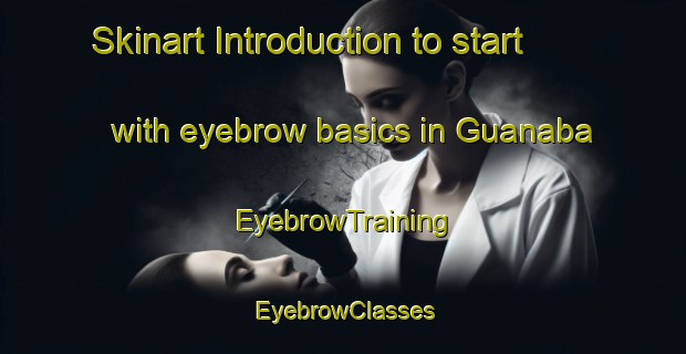 Skinart Introduction to start with eyebrow basics in Guanaba | EyebrowTraining | EyebrowClasses | SkinartTraining-Australia