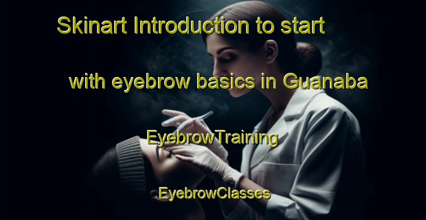 Skinart Introduction to start with eyebrow basics in Guanaba | EyebrowTraining | EyebrowClasses | SkinartTraining-Australia