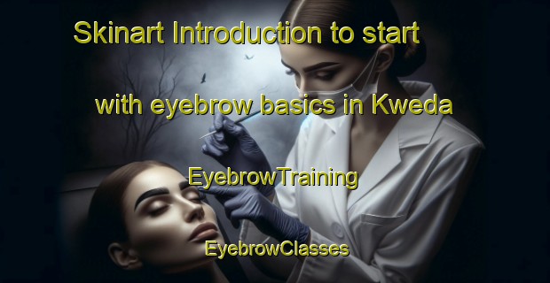 Skinart Introduction to start with eyebrow basics in Kweda | EyebrowTraining | EyebrowClasses | SkinartTraining-Australia