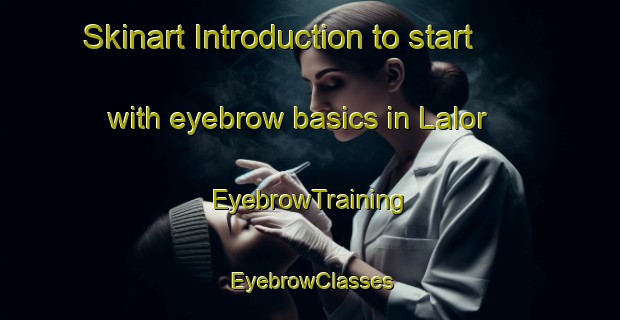 Skinart Introduction to start with eyebrow basics in Lalor | EyebrowTraining | EyebrowClasses | SkinartTraining-Australia