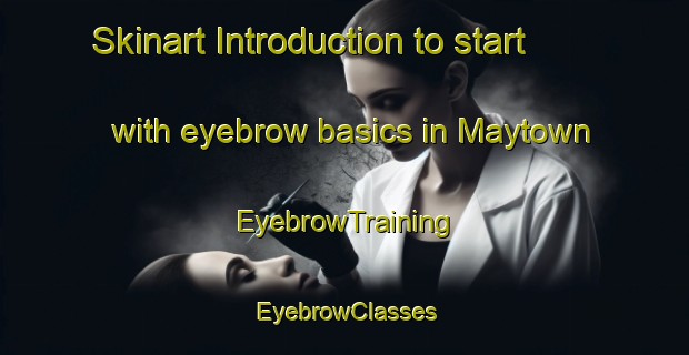 Skinart Introduction to start with eyebrow basics in Maytown | EyebrowTraining | EyebrowClasses | SkinartTraining-Australia