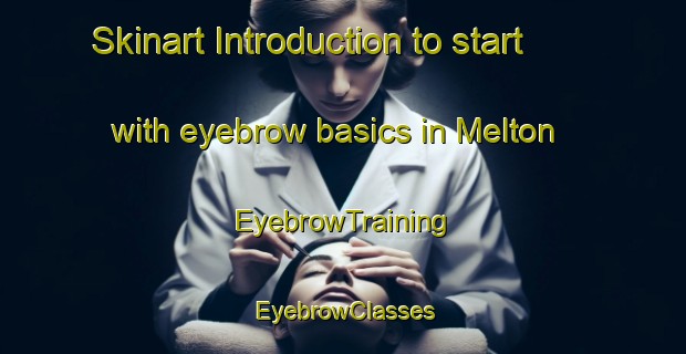 Skinart Introduction to start with eyebrow basics in Melton | EyebrowTraining | EyebrowClasses | SkinartTraining-Australia