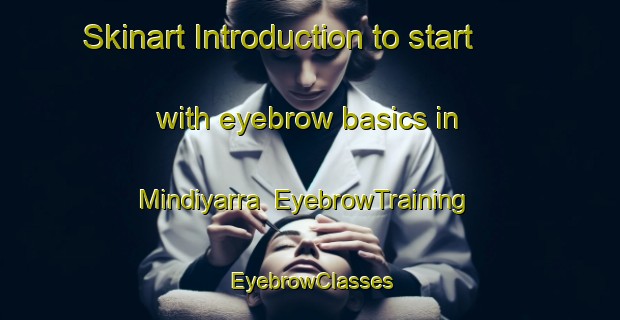 Skinart Introduction to start with eyebrow basics in Mindiyarra | EyebrowTraining | EyebrowClasses | SkinartTraining-Australia