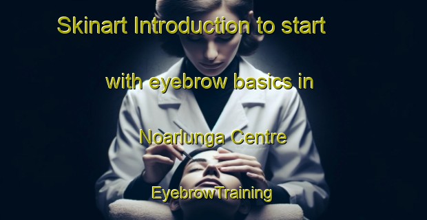 Skinart Introduction to start with eyebrow basics in Noarlunga Centre | EyebrowTraining | EyebrowClasses | SkinartTraining-Australia