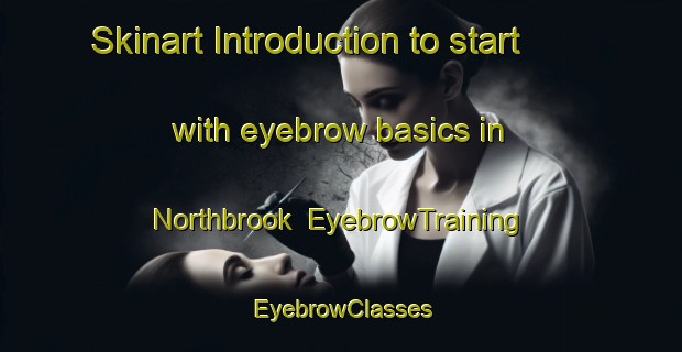 Skinart Introduction to start with eyebrow basics in Northbrook | EyebrowTraining | EyebrowClasses | SkinartTraining-Australia