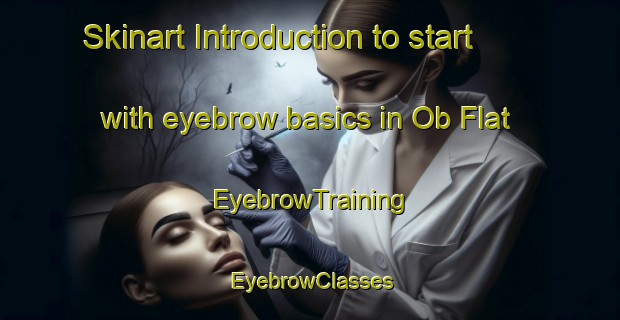Skinart Introduction to start with eyebrow basics in Ob Flat | EyebrowTraining | EyebrowClasses | SkinartTraining-Australia