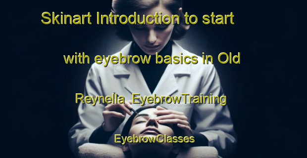 Skinart Introduction to start with eyebrow basics in Old Reynella | EyebrowTraining | EyebrowClasses | SkinartTraining-Australia