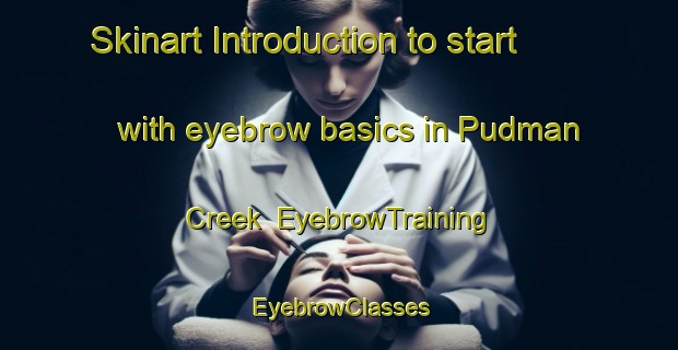 Skinart Introduction to start with eyebrow basics in Pudman Creek | EyebrowTraining | EyebrowClasses | SkinartTraining-Australia