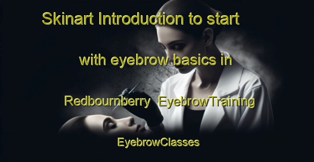 Skinart Introduction to start with eyebrow basics in Redbournberry | EyebrowTraining | EyebrowClasses | SkinartTraining-Australia