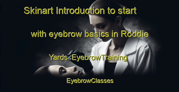 Skinart Introduction to start with eyebrow basics in Roddie Yards | EyebrowTraining | EyebrowClasses | SkinartTraining-Australia