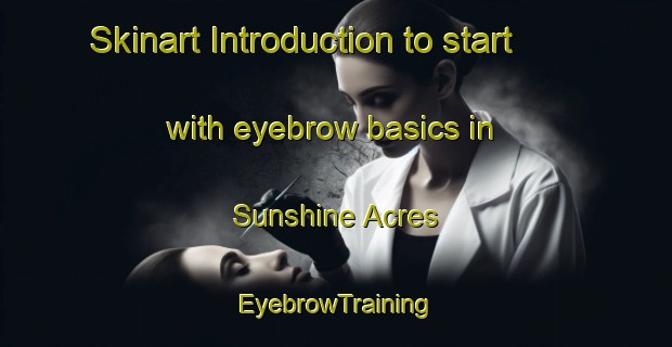 Skinart Introduction to start with eyebrow basics in Sunshine Acres | EyebrowTraining | EyebrowClasses | SkinartTraining-Australia
