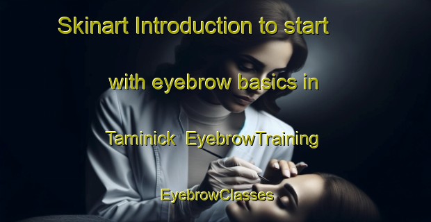 Skinart Introduction to start with eyebrow basics in Taminick | EyebrowTraining | EyebrowClasses | SkinartTraining-Australia