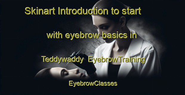 Skinart Introduction to start with eyebrow basics in Teddywaddy | EyebrowTraining | EyebrowClasses | SkinartTraining-Australia