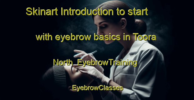 Skinart Introduction to start with eyebrow basics in Toora North | EyebrowTraining | EyebrowClasses | SkinartTraining-Australia