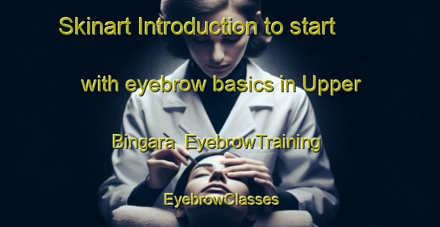 Skinart Introduction to start with eyebrow basics in Upper Bingara | EyebrowTraining | EyebrowClasses | SkinartTraining-Australia