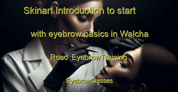 Skinart Introduction to start with eyebrow basics in Walcha Road | EyebrowTraining | EyebrowClasses | SkinartTraining-Australia