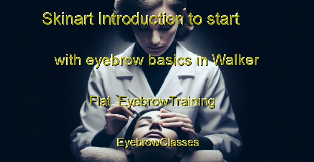 Skinart Introduction to start with eyebrow basics in Walker Flat | EyebrowTraining | EyebrowClasses | SkinartTraining-Australia