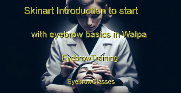 Skinart Introduction to start with eyebrow basics in Walpa | EyebrowTraining | EyebrowClasses | SkinartTraining-Australia