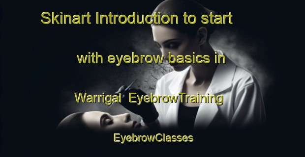 Skinart Introduction to start with eyebrow basics in Warrigal | EyebrowTraining | EyebrowClasses | SkinartTraining-Australia