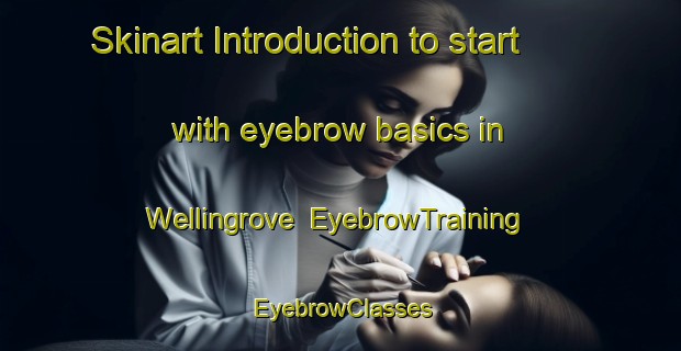Skinart Introduction to start with eyebrow basics in Wellingrove | EyebrowTraining | EyebrowClasses | SkinartTraining-Australia