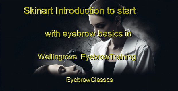 Skinart Introduction to start with eyebrow basics in Wellingrove | EyebrowTraining | EyebrowClasses | SkinartTraining-Australia