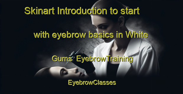 Skinart Introduction to start with eyebrow basics in White Gums | EyebrowTraining | EyebrowClasses | SkinartTraining-Australia