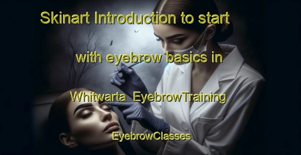 Skinart Introduction to start with eyebrow basics in Whitwarta | EyebrowTraining | EyebrowClasses | SkinartTraining-Australia