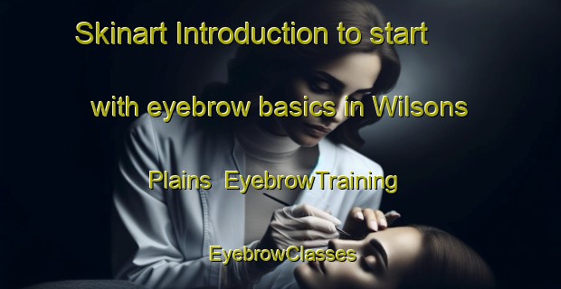 Skinart Introduction to start with eyebrow basics in Wilsons Plains | EyebrowTraining | EyebrowClasses | SkinartTraining-Australia