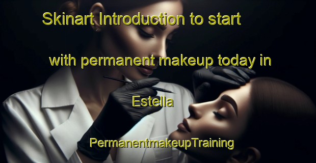 Skinart Introduction to start with permanent makeup today in Estella | PermanentmakeupTraining | PermanentmakeupClasses | SkinartTraining-Australia