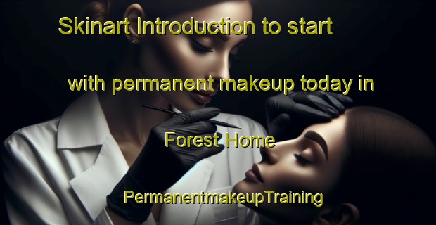 Skinart Introduction to start with permanent makeup today in Forest Home | PermanentmakeupTraining | PermanentmakeupClasses | SkinartTraining-Australia