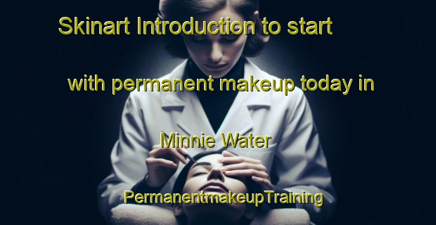 Skinart Introduction to start with permanent makeup today in Minnie Water | PermanentmakeupTraining | PermanentmakeupClasses | SkinartTraining-Australia