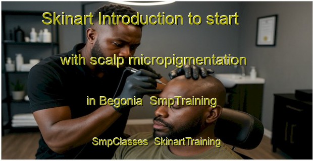 Skinart Introduction to start with scalp micropigmentation in Begonia | SmpTraining | SmpClasses | SkinartTraining-Australia