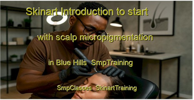 Skinart Introduction to start with scalp micropigmentation in Blue Hills | SmpTraining | SmpClasses | SkinartTraining-Australia