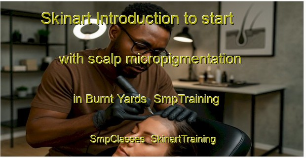 Skinart Introduction to start with scalp micropigmentation in Burnt Yards | SmpTraining | SmpClasses | SkinartTraining-Australia