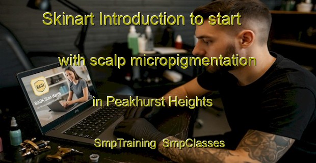 Skinart Introduction to start with scalp micropigmentation in Peakhurst Heights | SmpTraining | SmpClasses | SkinartTraining-Australia