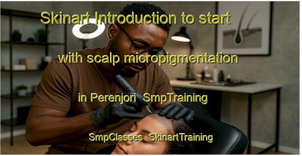 Skinart Introduction to start with scalp micropigmentation in Perenjori | SmpTraining | SmpClasses | SkinartTraining-Australia