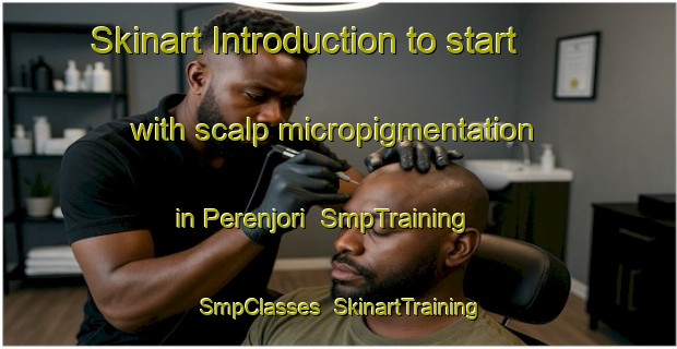 Skinart Introduction to start with scalp micropigmentation in Perenjori | SmpTraining | SmpClasses | SkinartTraining-Australia