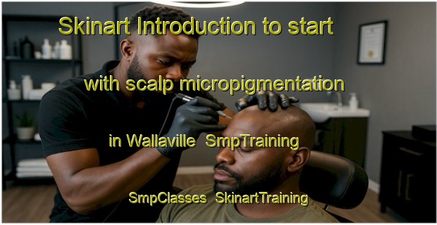 Skinart Introduction to start with scalp micropigmentation in Wallaville | SmpTraining | SmpClasses | SkinartTraining-Australia