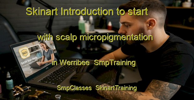 Skinart Introduction to start with scalp micropigmentation in Werribee | SmpTraining | SmpClasses | SkinartTraining-Australia