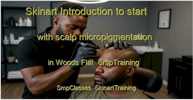 Skinart Introduction to start with scalp micropigmentation in Woods Flat | SmpTraining | SmpClasses | SkinartTraining-Australia
