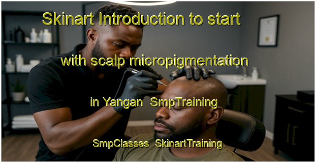 Skinart Introduction to start with scalp micropigmentation in Yangan | SmpTraining | SmpClasses | SkinartTraining-Australia