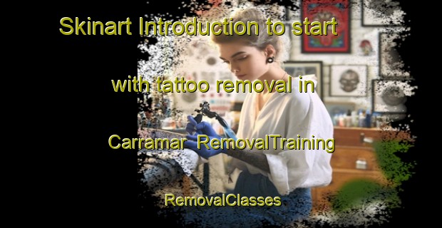 Skinart Introduction to start with tattoo removal in Carramar | RemovalTraining | RemovalClasses | SkinartTraining-Australia