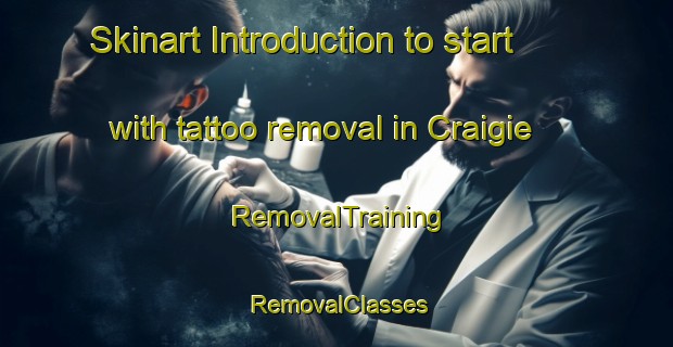 Skinart Introduction to start with tattoo removal in Craigie | RemovalTraining | RemovalClasses | SkinartTraining-Australia