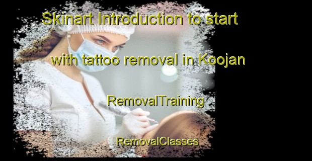Skinart Introduction to start with tattoo removal in Koojan | RemovalTraining | RemovalClasses | SkinartTraining-Australia