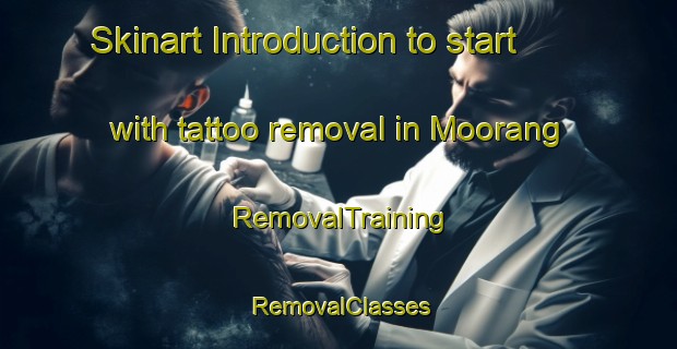 Skinart Introduction to start with tattoo removal in Moorang | RemovalTraining | RemovalClasses | SkinartTraining-Australia