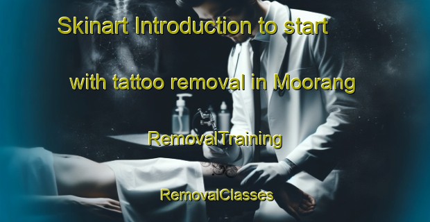 Skinart Introduction to start with tattoo removal in Moorang | RemovalTraining | RemovalClasses | SkinartTraining-Australia