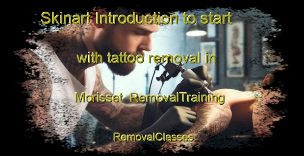 Skinart Introduction to start with tattoo removal in Morisset | RemovalTraining | RemovalClasses | SkinartTraining-Australia
