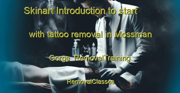 Skinart Introduction to start with tattoo removal in Mossman Gorge | RemovalTraining | RemovalClasses | SkinartTraining-Australia