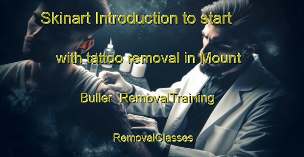 Skinart Introduction to start with tattoo removal in Mount Buller | RemovalTraining | RemovalClasses | SkinartTraining-Australia